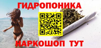 шишки Гусь-Хрустальный